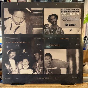 DECLAIME & MADLIB <br> IN THE BEGINNING VOL. 3 <br> THESE DAZE