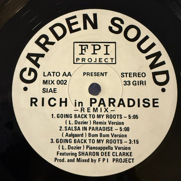 FPI PROJECT <br> RICH IN PARADISE (REMIX)