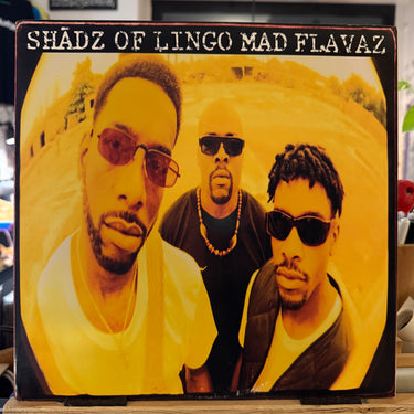 SHADZ OF LINGO <br> MAD FLAVAZ