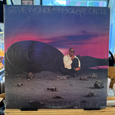 STEVIE WONDER <br> IN SQUARE CIRCLE