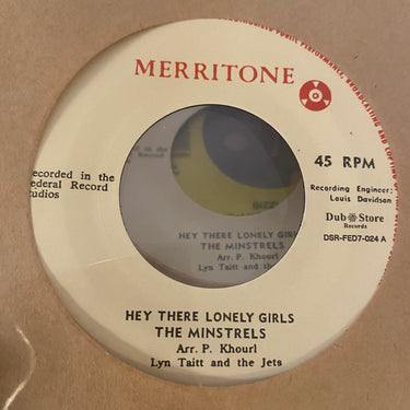 THE MINSTRELS <br> HEY THERE LONELY GIRLS