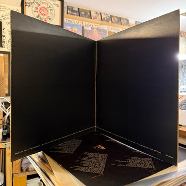 ALBERTO FORTIS <br> TRA DEMONIO E SANTITÀ