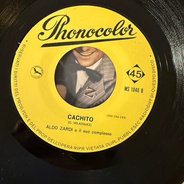 ALDO ZARDI <br> L'ESTATE TORNERÀ CON TE