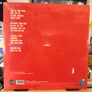 ALESSANDRO MAGNANINI <br> SOMEWAY STILL I DO