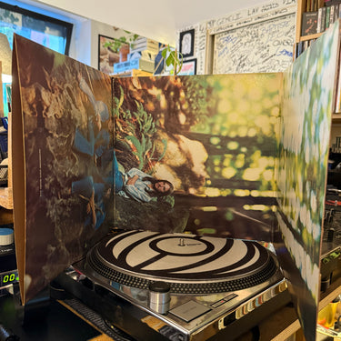 AMERICA <br> HOMECOMING