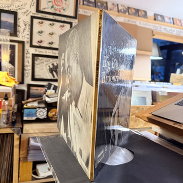 BIG BILL BROONZY <br> BIG BILL BROONZY