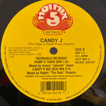 CANDY J <br> DESIRABLE REVENGE