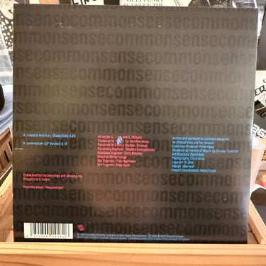 COMMON SENSE <br> I USED TO LOVE H.E.R.