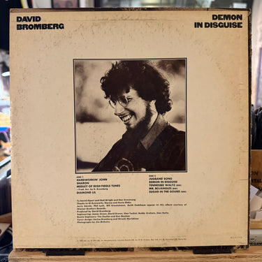 DAVID BROMBERG <br> DEMON IN DISGUISE
