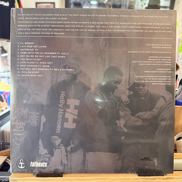 DECLAIME & MADLIB <br> IN THE BEGINNING VOL. 3 <br> THESE DAZE