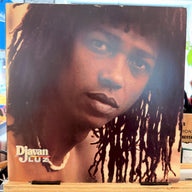 DJAVAN <br> LUZ