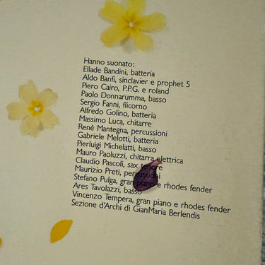 FABIO CONCATO <br> FABIO CONCATO