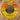 HERMAN HERSANG & HIS CITY SLICKERS <br> HERSANG HOP