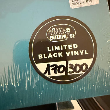 HOMELISS DERILEX <br> FRAUDULENT 2