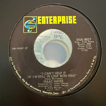 ISAAC HAYES <br> NEVER CAN SAY GOODBYE