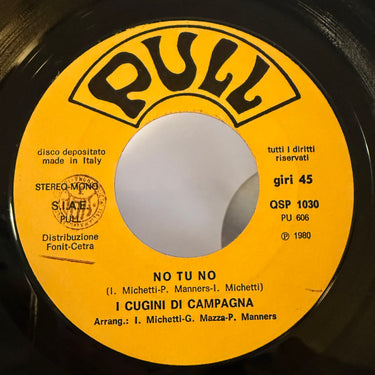 I CUGINI DI CAMPAGNA <br> NO TU NO