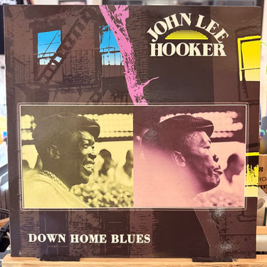 JOHN LEE HOOKER <br> DOWN HOME BLUES
