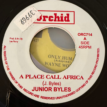 JUNIOR BYLES <br> A PLACE CALL AFRICA