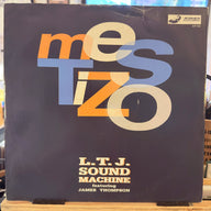 LTJ SOUND MACHINE <br> MESTIZO