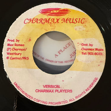 MAX ROMEO <br> MELT AWAY