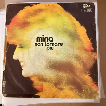 MINA <br> E POI...