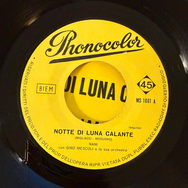 NANI <br> NOTTE DI LUNA CALANTE