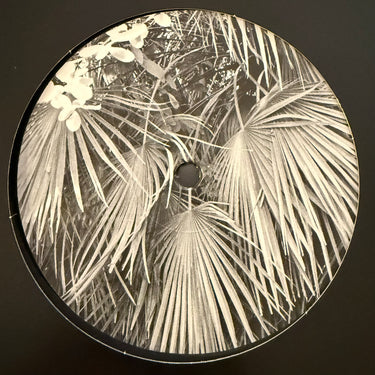 NASTY BOY / FLML <br> PARALLEL JOURNEYS