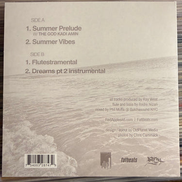 RAY WEST <br> SUMMER VIBES