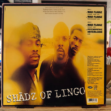 SHADZ OF LINGO <br> MAD FLAVAZ