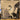 STEVE KUHN QUARTET<br> LAST YEAR´S WALTZ
