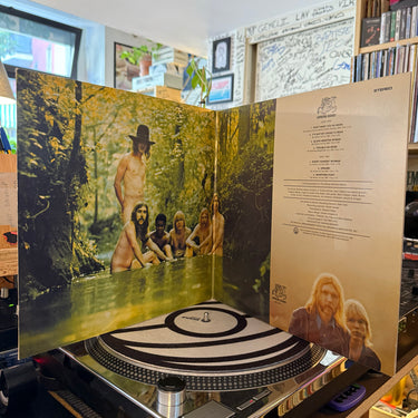 THE ALLMAN BROTHERS BAND <br> THE ALLMAN BROTHERS BAND