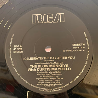 THE BLOW MONKEYS WITH CURTIS MAYFIELD <br> (CELEBRATE) THE DAY AFTER YOU