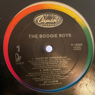 THE BOOGIE BOYS <br> SHARE MY WORLD