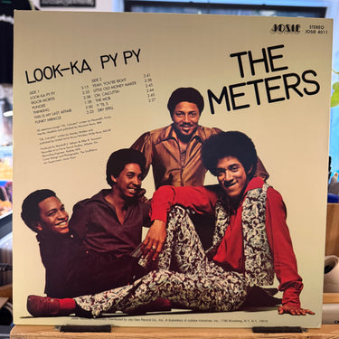 THE METERS <br> LOOK-KA PY PY