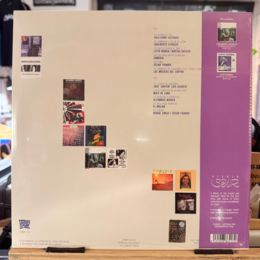 VIENTO SUR <br> EXPERIMENTAL & FUSION MUSIC <br> FROM ARGENTINA